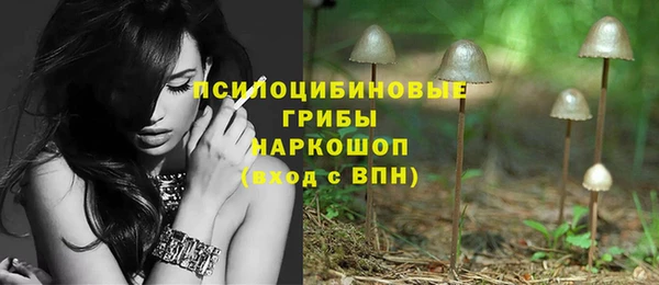каннабис Белокуриха
