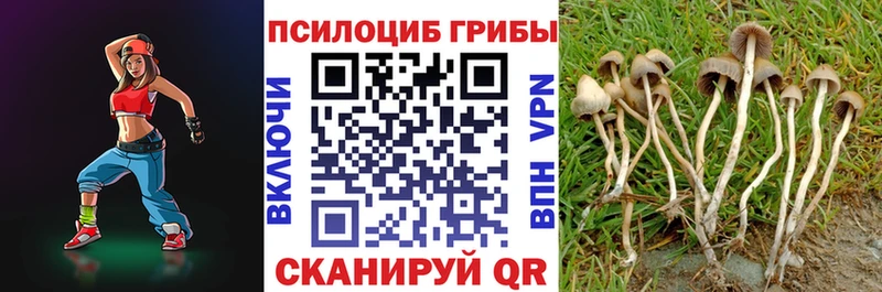 Галлюциногенные грибы прущие грибы  дарнет шоп  Высоцк 